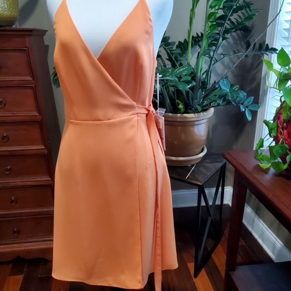 Amanda Uprichard Clarita Dress
